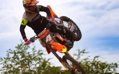 Dale Park Adventures